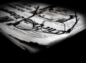 Comment fonctionne la propriété intellectuelle en France ? visudiversarticles